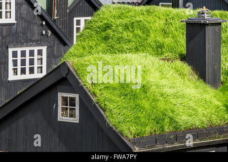 Erba-casa coperto, Isole Faerøer Foto Stock