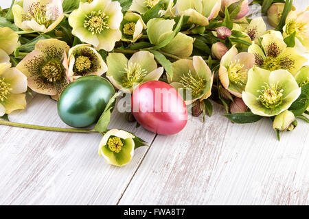 Pasqua veratro decorazione fiori Foto Stock