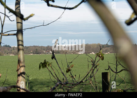 Il nuovo studio lo sviluppo a Pinewood Studios, Iver Heath, costruita sulla cintura verde terra, fast diventa un 'Blot sul paesaggio". Foto Stock