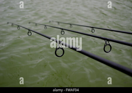 Canne da pesca in acqua Foto Stock