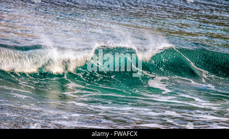 Potente, onda nell'Oceano Atlantico. Isole Faerøer, Danimarca, Europa Foto Stock