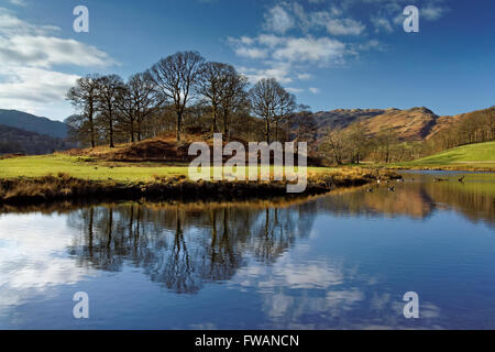 Regno Unito,Cumbria,Lake District,Fiume Brathay vicino a Elterwater Foto Stock