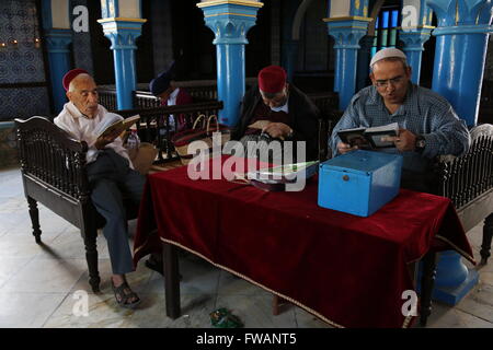 Tunisia : pellegrinaggio alla sinagoga di Ghriba - 16/05/2014 - Tunisia / Djerba / Djerba - Tre rabbini preghiere di lettura prima di Foto Stock