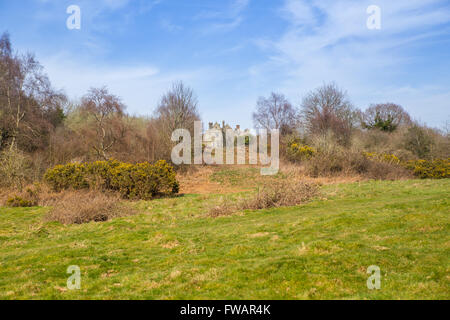 Vista della Abbazia di Battle attraverso Senlac campo, il sito della battaglia di Hastings in 1066. Foto Stock