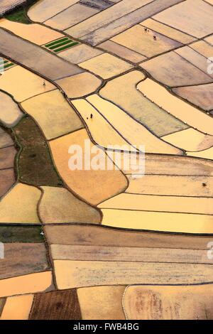 Hechi, della Cina di Guangxi Zhuang Regione autonoma. 2 apr, 2016. Gli agricoltori il lavoro nei campi nel villaggio di Jiangping di Hechi City, a sud della Cina di Guangxi Zhuang Regione autonoma, 2 aprile 2016. © Zhou Enge/Xinhua/Alamy Live News Foto Stock