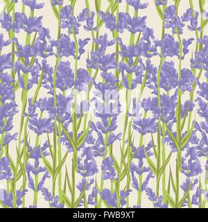 Modello senza cuciture con fiori di lavanda . Disegnata a mano design per biglietto di ringraziamento, biglietto di auguri o un invito. Illustrazione Vettoriale. Illustrazione Vettoriale