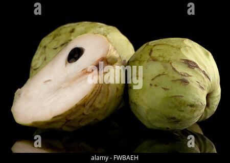 Anone, noto anche come torelli o tori cuore.Su nero con la riflessione. Foto Stock