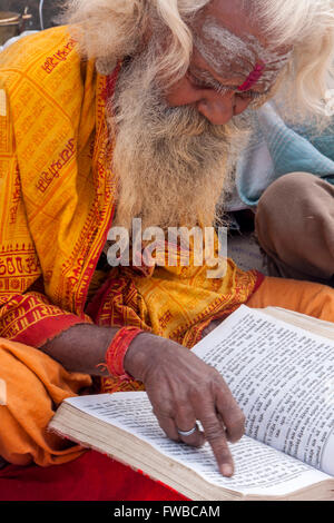 Il Nepal, Pashupatinath. Sadhu indù (asceta) Lettura scritture indù. Foto Stock