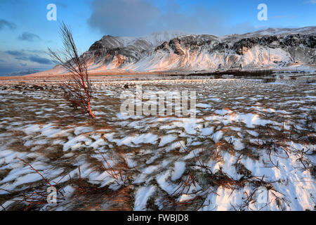 Inverno tramonto sull'Esja montagna South Western Islanda, l'Europa. Foto Stock