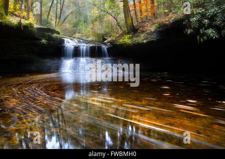 Una valle, livello acqua vista delle cascate entro una vibrante foresta come l'acqua porta lascia giù il flusso Foto Stock