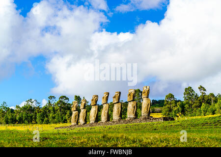 Moai a Ahu Akivi sull'Isola di Pasqua, Cile Foto Stock