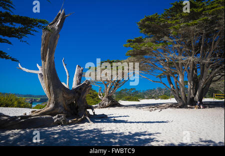 Spiaggia di sabbia sul Carmelo in riva al mare Foto Stock