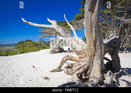 Spiaggia di sabbia sul Carmelo in riva al mare Foto Stock