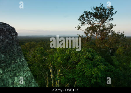 Tramonto sulla sommità del tempio IV, Yaxha rovine Maya in Guatemala Foto Stock