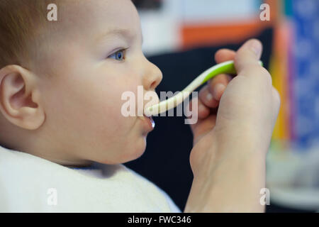 8 mese baby boy essendo alimentato da sua madre con il cucchiaio. Messa a fuoco selettiva Foto Stock