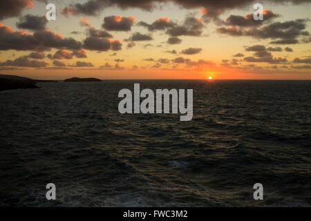 Cardigan Island al tramonto Foto Stock