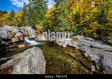 Golden caduta delle foglie si riflette nel fiume Ellis, White Mountain National Forest, NH Foto Stock