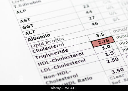La chimica del sangue relazione mostra i normali test di funzionalità epatica e un profilo lipidico con elevati livelli di trigliceridi. Foto Stock