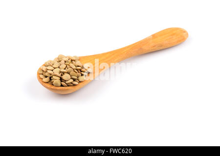 Francese di lenticchie verdi (lentilles du Puy) in un cucchiaio di legno su sfondo bianco Foto Stock