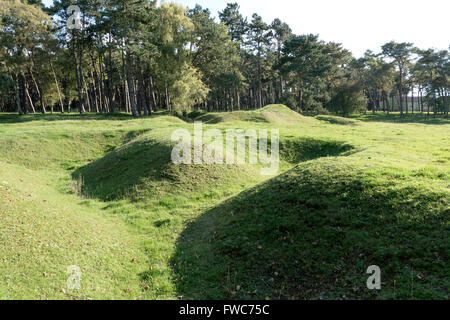 La Canadian National Vimy Park è un memoriale in Francia. Foto Stock