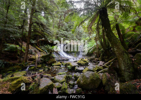 Cascate Horseshoe, Monte campo Parco Nazionale, Tasmania, Australia Foto Stock