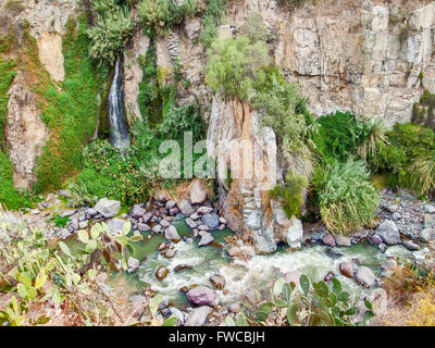 Ricoperta di vegetazione in dettaglio Colca Canyon in Perù ( America del Sud) Foto Stock