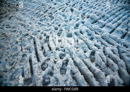 Un sacco di Orme nella neve. Foto Stock