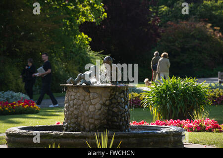 Giardini della valle, Harrogate, nello Yorkshire, Inghilterra - bella, soleggiato parco con fontana, aiuole fiorite e 4 persone e rilassanti passeggiate. Foto Stock