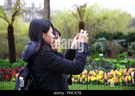 St James Park, Londra 3 Aprile 2016 - giovane turista prende le loro foto sul telefono durante un caldo pomeriggio a St James Park, Londra Credito: Dinendra Haria/Alamy Live News Foto Stock