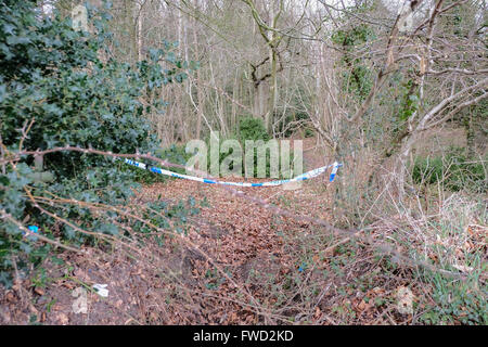 Salisbury, Regno Unito. Il 4 aprile, 2016. Un corpo è stato trovato nella ricerca di dispersi Salisbury uomo Brendan Hughes. Brendan, 37, andava perso ieri mattina e i servizi di emergenza sono state purga un area boschiva vicino a Salisbury Racecourse oggi. I suoi parenti prossimi sono stati informati. La polizia non è trattare la morte come sospetto Credito: Paul Chambers/Alamy Live News Foto Stock