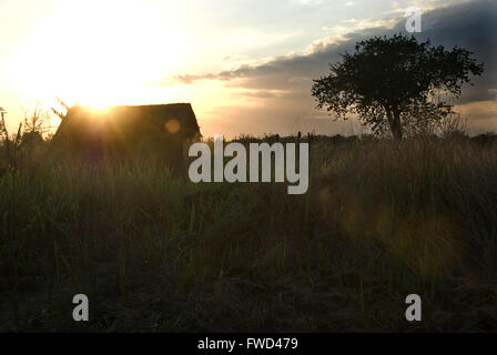 Lacekocot, distretto di Pader, Uganda. 2009. La sun red imposta oltre il paesaggio di capanne di fango e palme al Lacekocot sfollati interni nel campo di Pader, Uganda settentrionale. Foto Stock