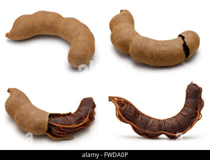 Il set di tamarindo secchi Frutta su sfondo bianco in pieno la profondità di campo. Foto Stock