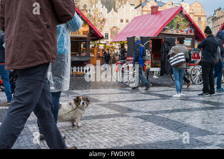 Mercato di pasqua Staromestske namesti, la piazza della città vecchia di Praga, Repubblica Ceca, Europa Foto Stock