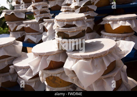 Sri Lanka, Galoya, buffalo cagliata in pentole di creta per la vendita in stallo stradale Foto Stock