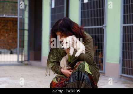 Cani nel rifugio del cane e la donna. Animal Shelter Foto Stock