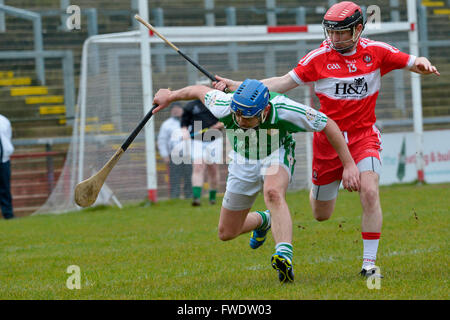 GAA National Hockey irlandese League, Derry (in rosso) v Londra, Celtic Park, Derry, Irlanda del Nord. Foto Stock