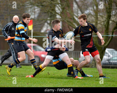 Irlanda del Nord le scuole partita di rugby tra Foyle College e grammatica di Antrim giocato in Londonderry, Irlanda del Nord Foto Stock