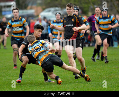 Irlanda del Nord le scuole partita di rugby tra Foyle College e grammatica di Antrim giocato in Londonderry, Irlanda del Nord Foto Stock