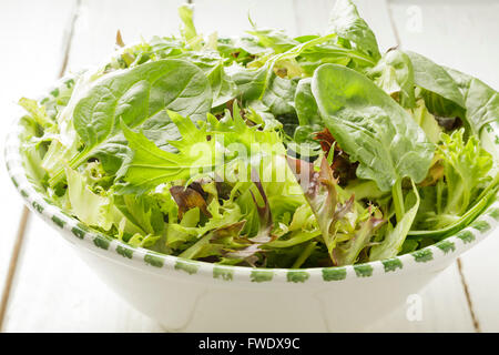 Misto di foglie di lattuga in una ciotola Foto Stock