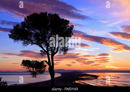 Tramonto dalla Foresta di Stato Pierres Blanches, il Mont Saint Clair, Sete, Languedoc-Roussillon, Francia Foto Stock