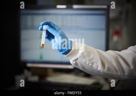 Provetta di test clinici di campione Foto Stock