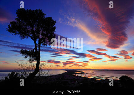 Tramonto dalla Foresta di Stato Pierres Blanches, il Mont Saint Clair, Sete, Languedoc-Roussillon, Francia Foto Stock