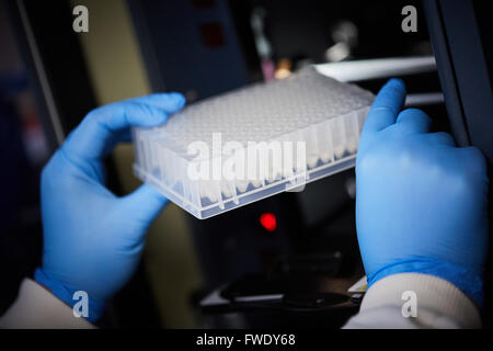 Piastra ben caricato nella macchina di testing analisi analizzatore di biologia per il trattamento del sangue test di fluidi Foto Stock