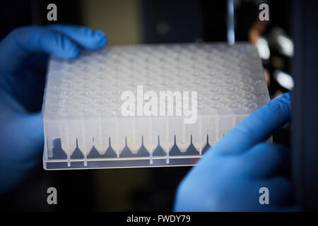 Piastra ben caricato nella macchina di testing analisi analizzatore di biologia per il trattamento del sangue test di fluidi Foto Stock