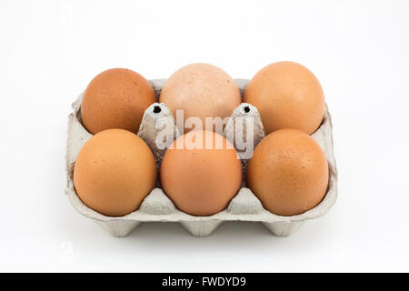 Sei uova di gallina, isolato in uno sfondo bianco Foto Stock