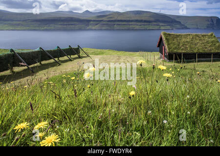 In legno rustico cabina su isole Faerøer, Danimarca Foto Stock