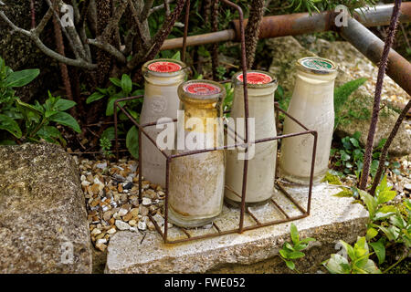 Vetro di vecchie bottiglie di latte nel supporto di metallo Foto Stock