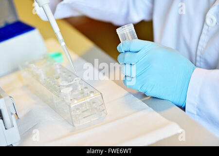 Dettaglio con il ricercatore mani lavorando con contagocce medica e i tubi in un laboratorio di eseguire un test del DNA Foto Stock