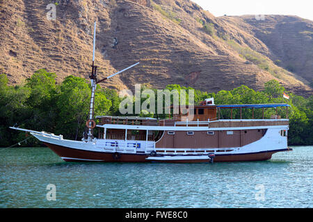 Tipico turista nave off di ancoraggio Rinca Isola, Parco Nazionale di Komodo, Sito Patrimonio Mondiale dell'UNESCO, Indonesia, Asia Foto Stock