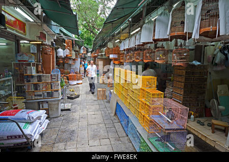 Uccelli, gabbie e attrezzature, mercato di uccelli, Kowloon, Hong Kong, Cina Foto Stock